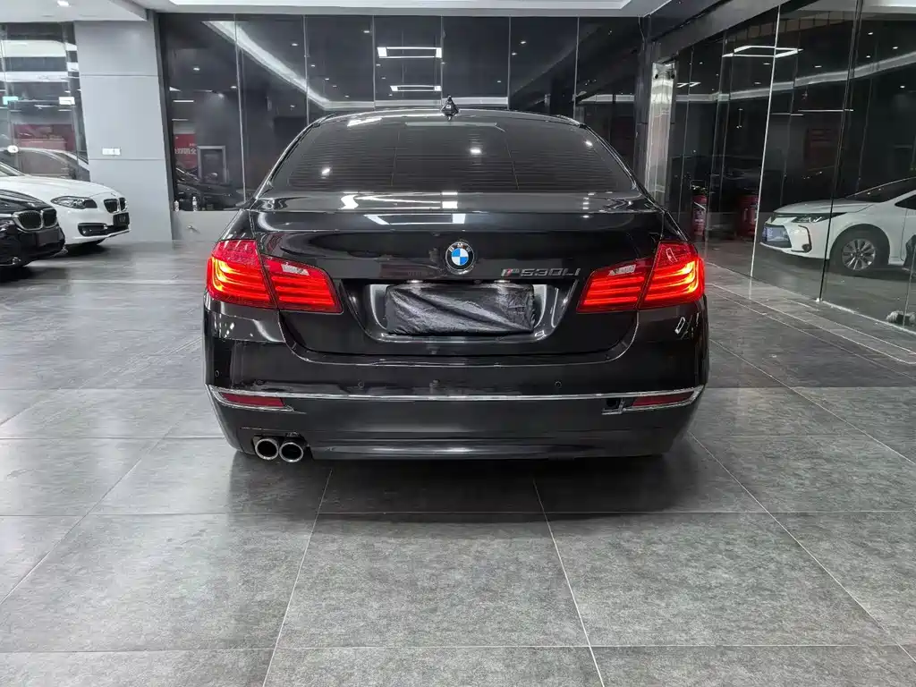 BMW 5 Series 2015 — фото 5