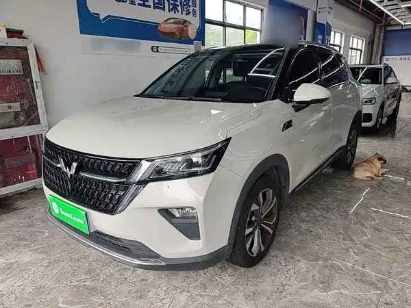 Wuling Star 2023