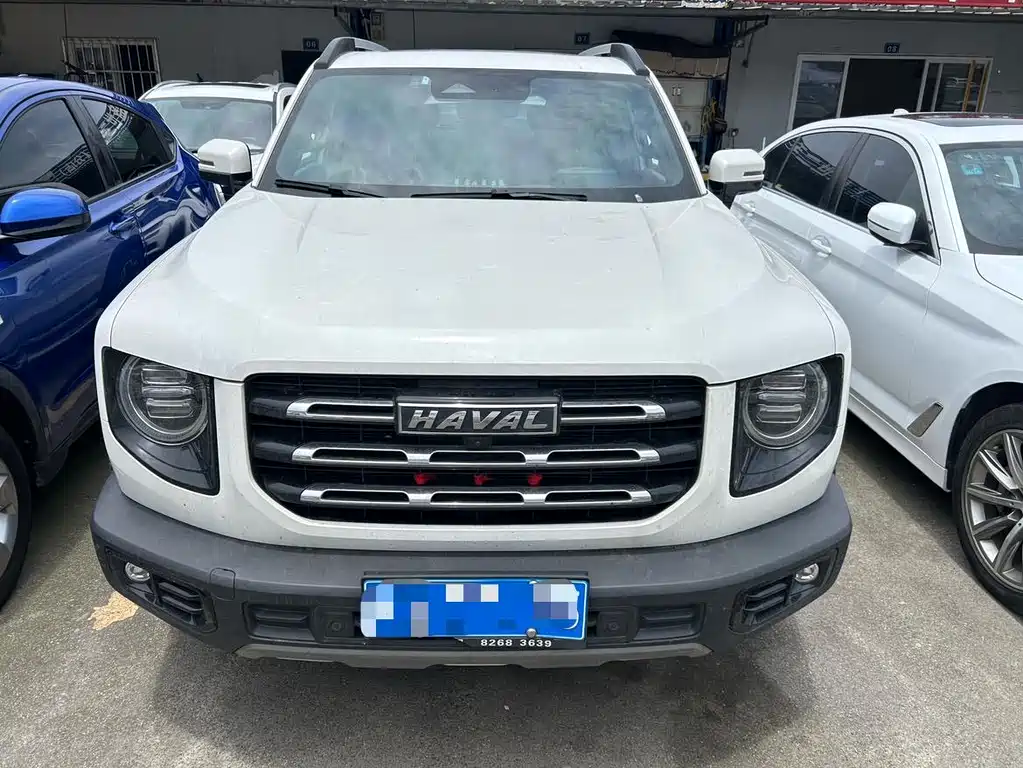 Haval Big Dog 2021 — фото 3