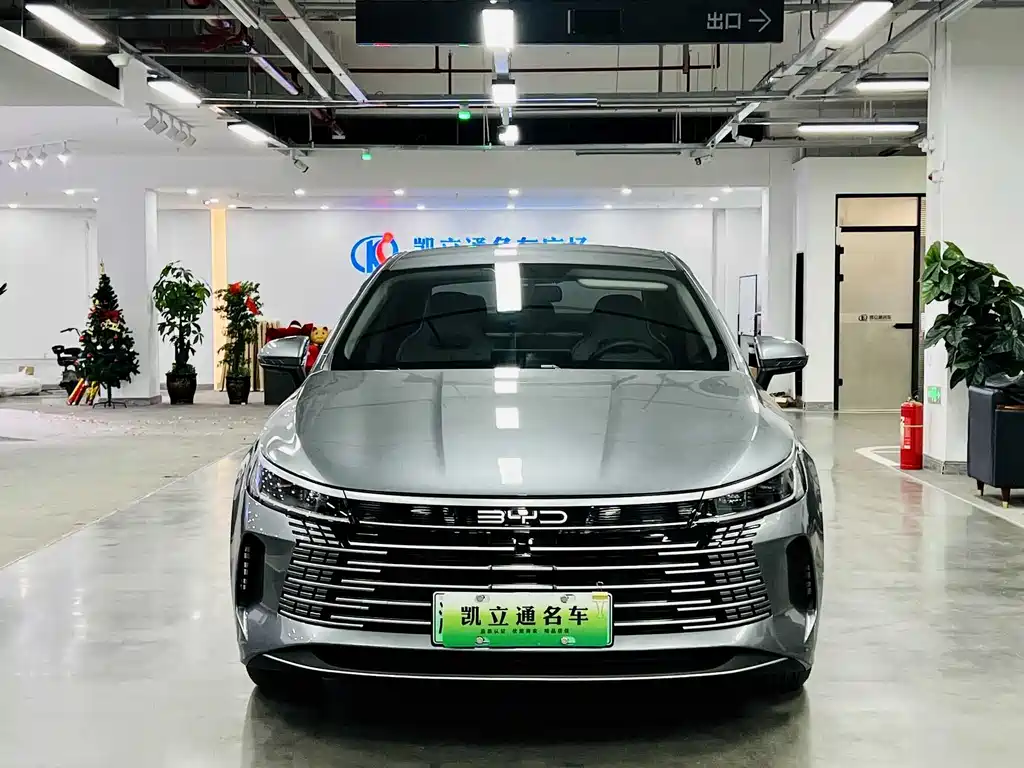 BYD Destroyer 05 2025 — фото 2