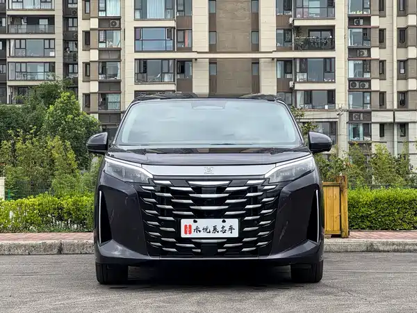 BYD Summer 2025