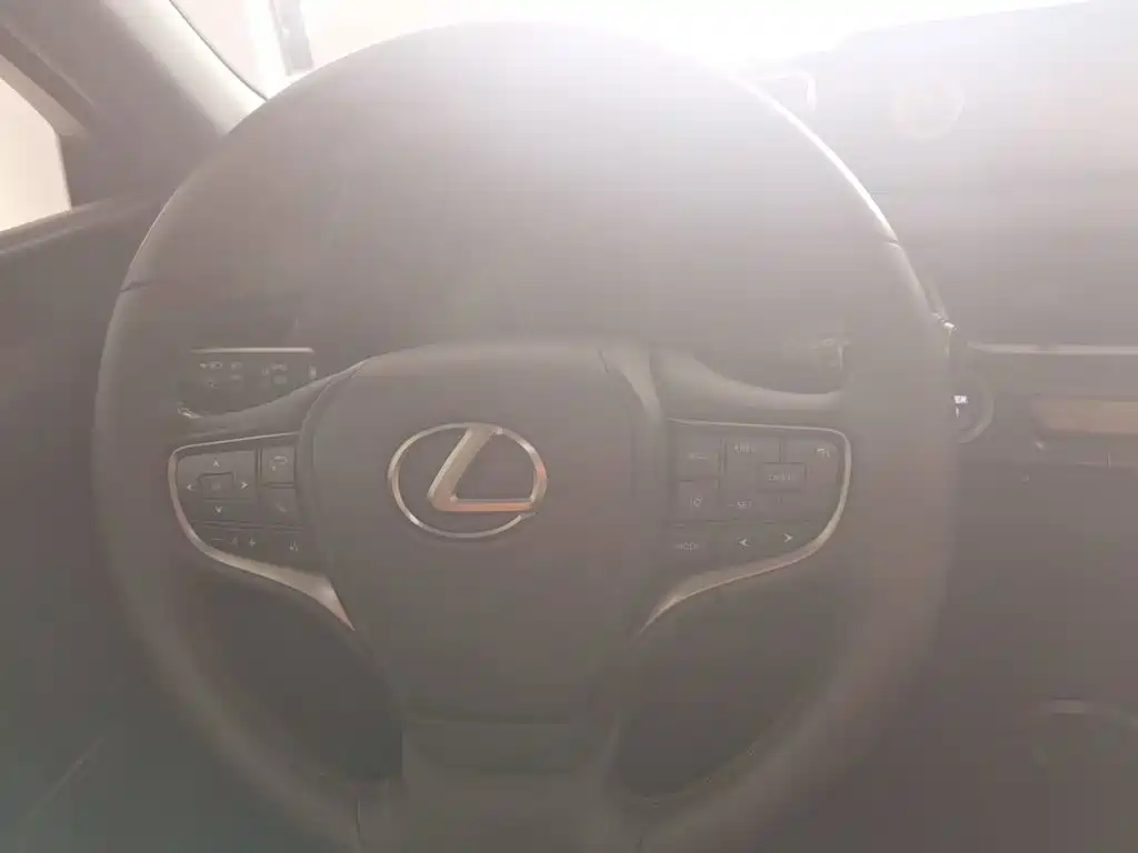 Lexus UX 2020 — фото 11
