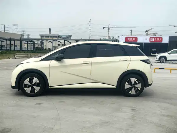 BYD Dolphin 2024