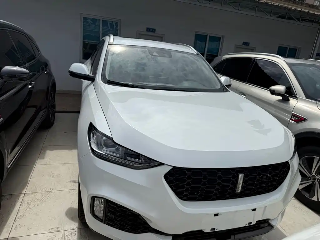 Wey VV6 2019