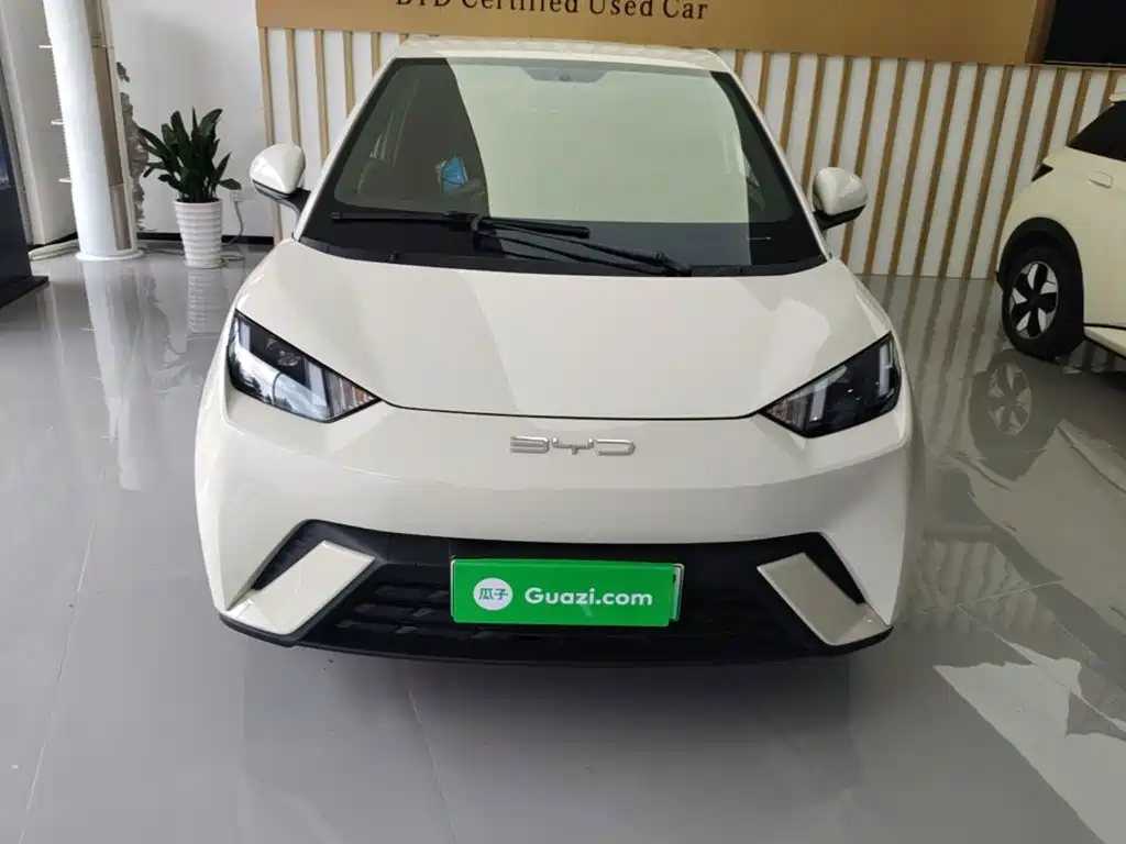 BYD Seagull 2024