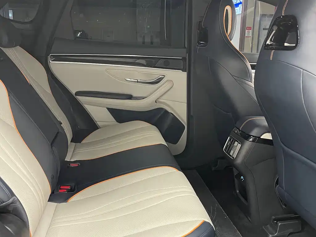 BYD Song PLUS New Energy 2024 — фото 10
