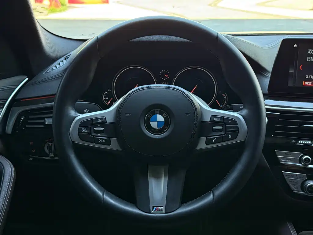 BMW 5 Series 2018 — фото 14