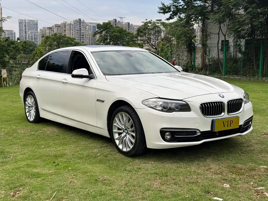 BMW 5 Series 2014 — фото 3