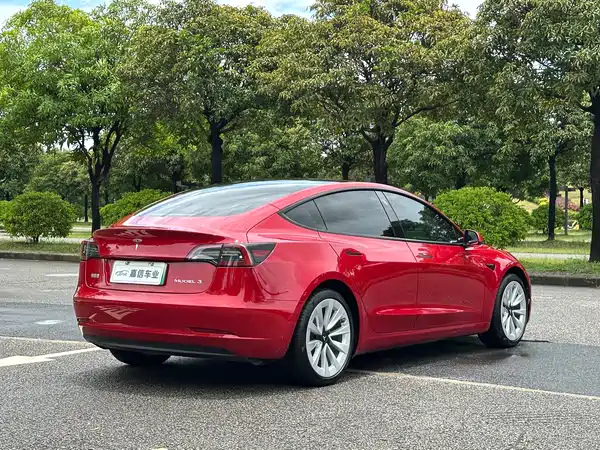 Tesla Model 3 2021