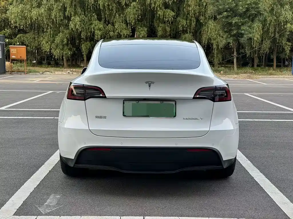 Tesla Model Y 2023 — фото 5