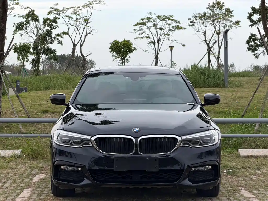 BMW 5 Series 2018 — фото 2