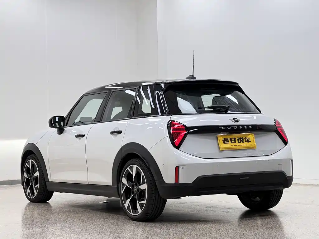 MINI MINI 2024