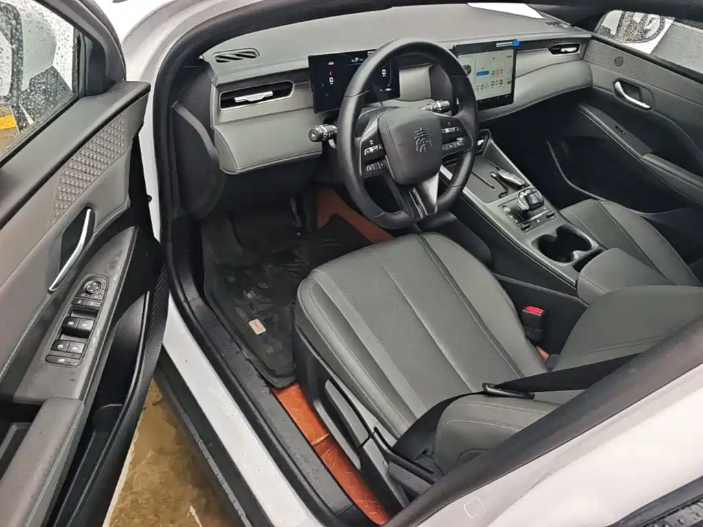 BYD Qin PLUS 2025 — фото 16