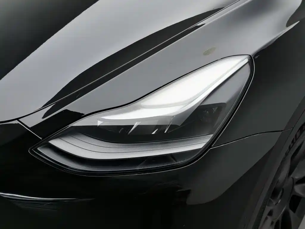Tesla Model Y 2021 — фото 7