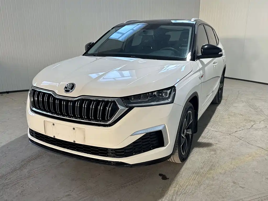 Skoda Kamiq 2022 — фото 1