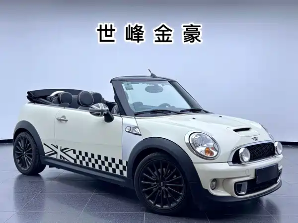 MINI 2013