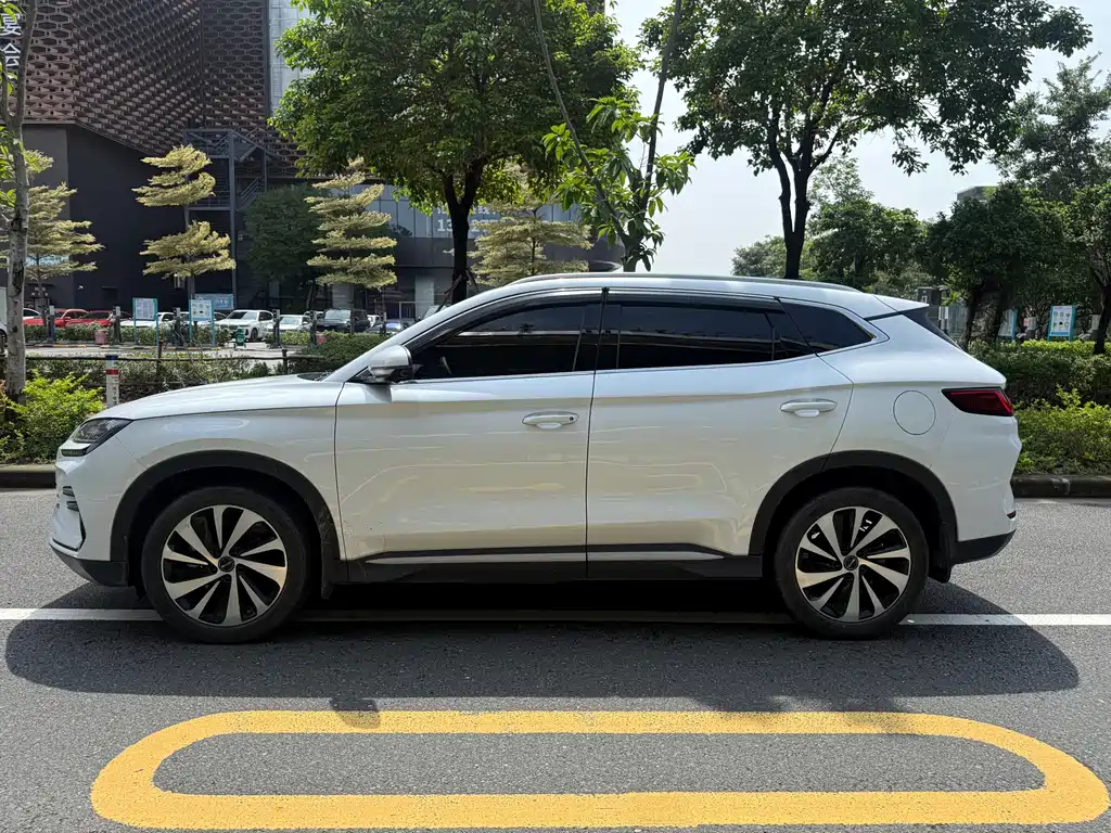 BYD PLUS New Energy 2024 — фото 19