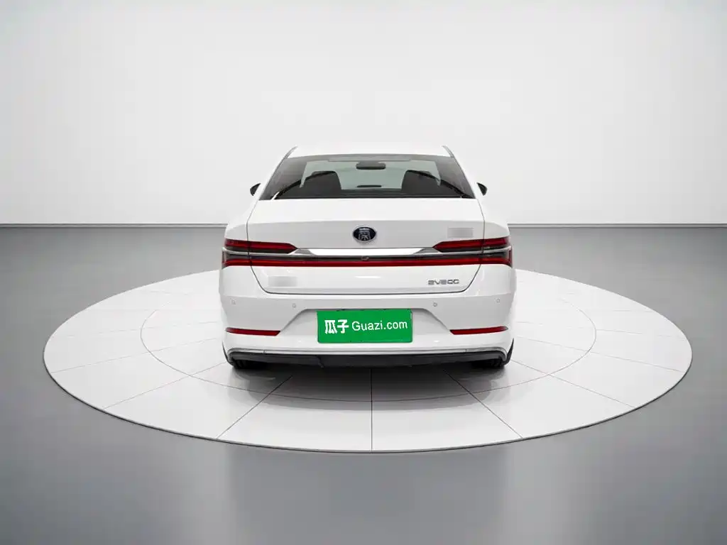 BYD Qin Pro New Energy 2019 — фото 5