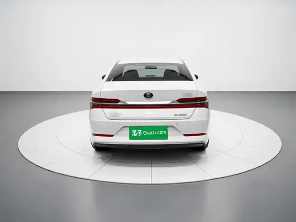 BYD Qin Pro New Energy 2019