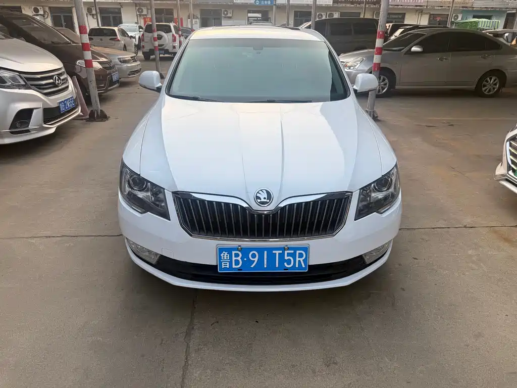 Skoda Speedy 2014