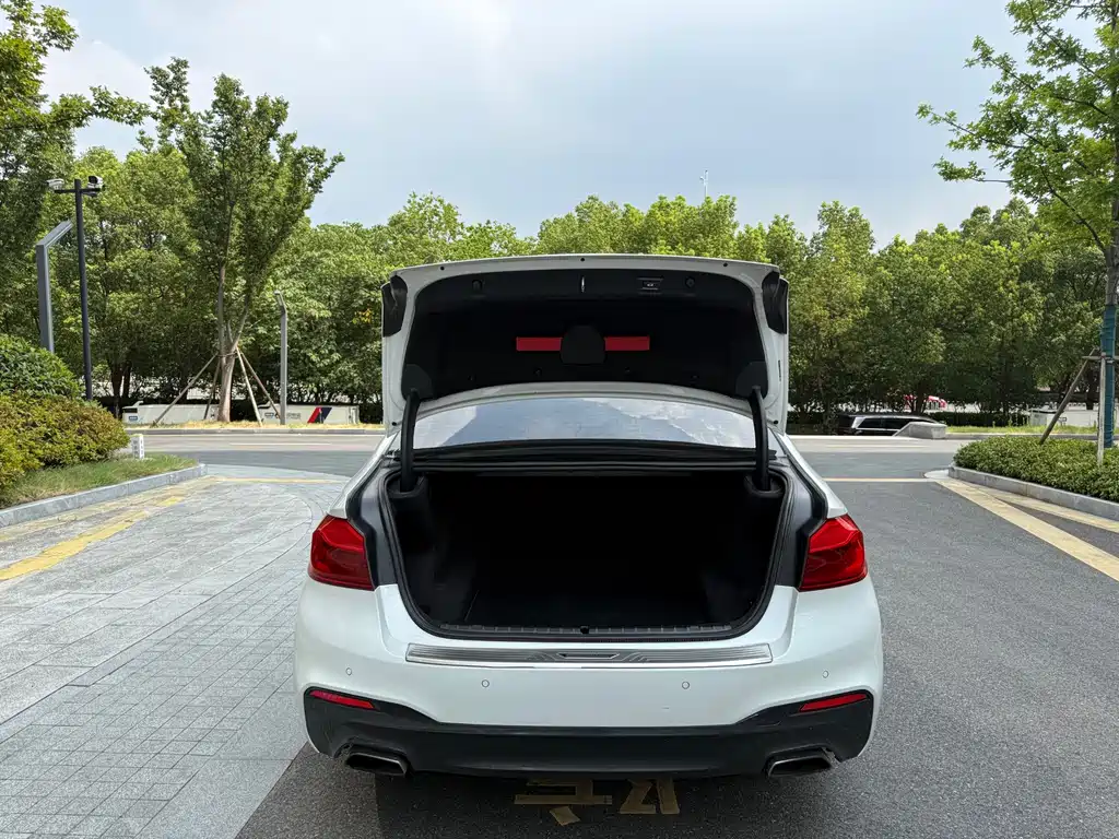 BMW 5 Series 2019