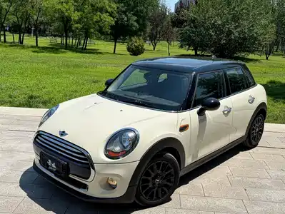 MINI MINI 2015