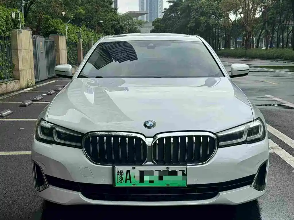 BMW 5 Series New Energy 2020