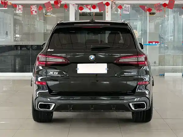BMW X5 2021