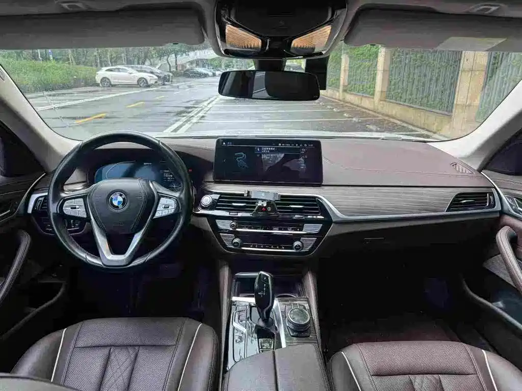 BMW 5 Series New Energy 2020