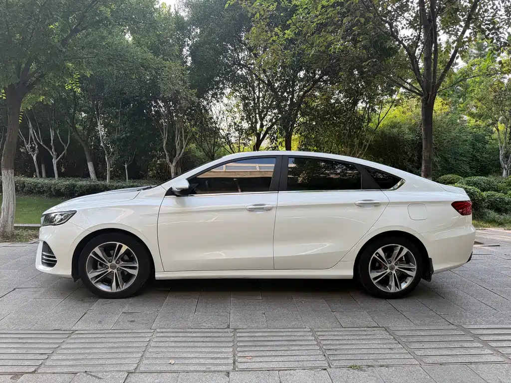 Geely Binrui 2019
