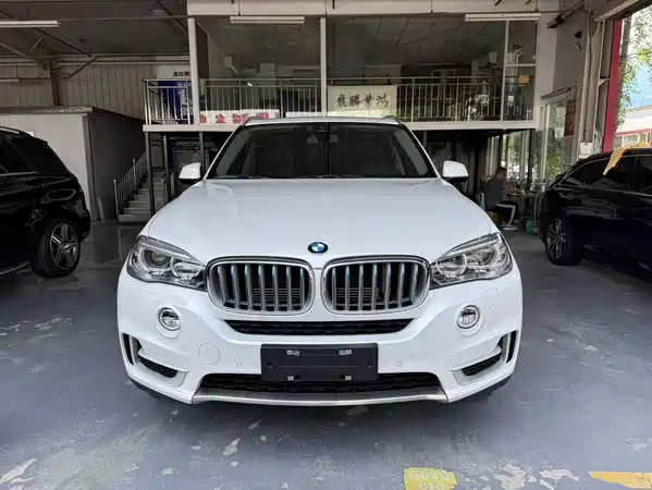 BMW X5 New Energy 2017