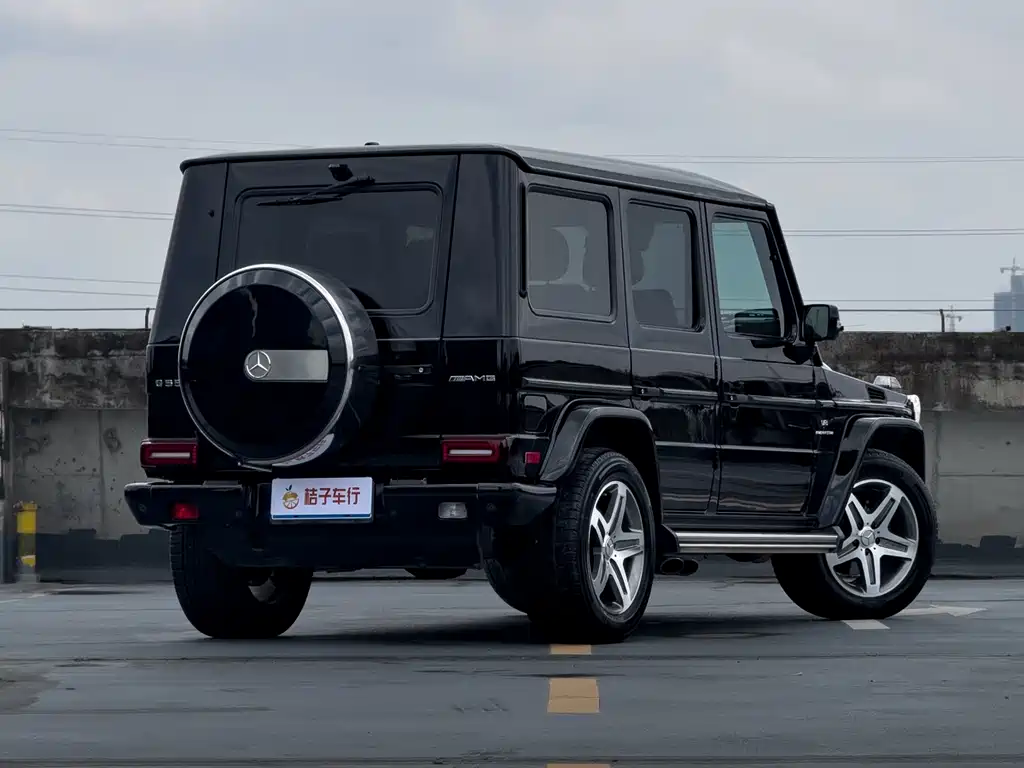 Mercedes-Benz G-Class 2010 — фото 14