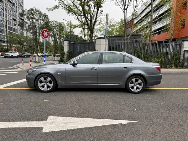 BMW 5 Series 2010
