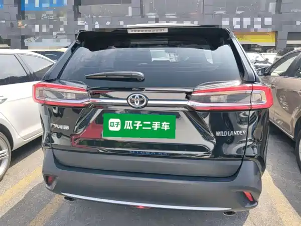Toyota Wildlander 2022
