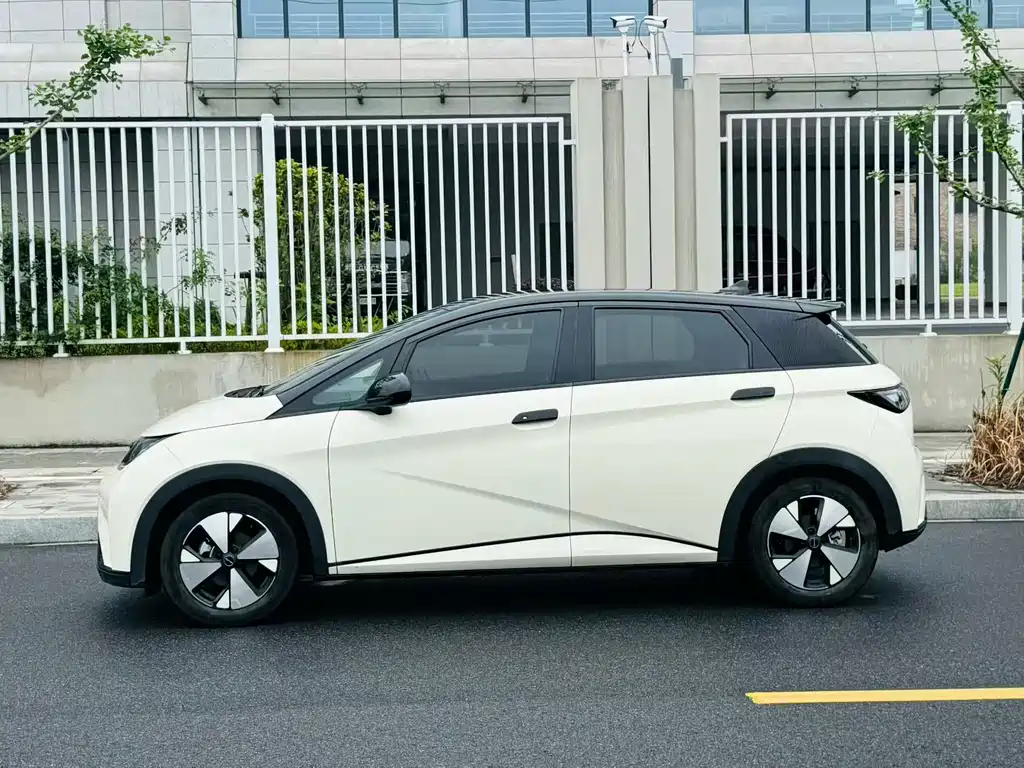 BYD Dolphin 2023 — фото 2