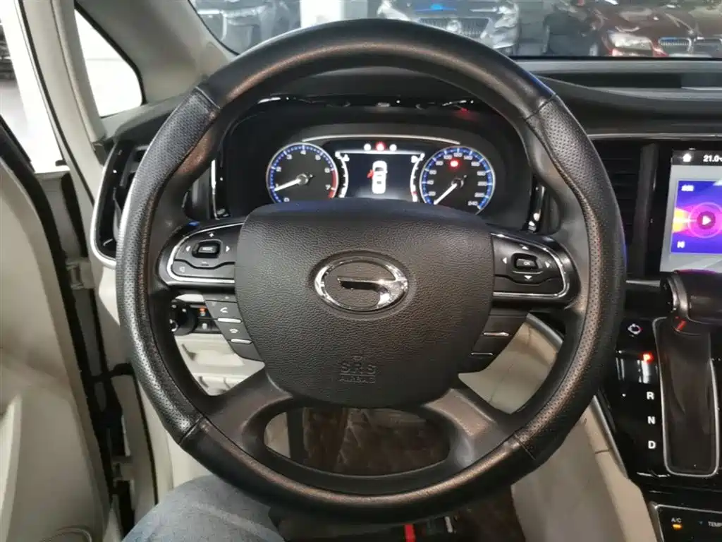 GAC Motor Trumpchi M8 2020 — фото 11