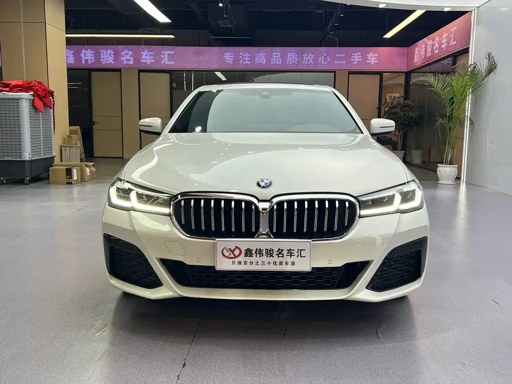 BMW 5 Series 2021
