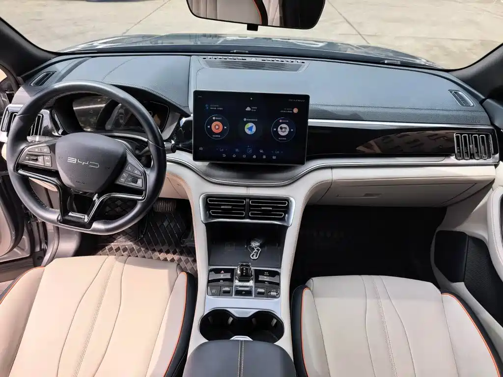 BYD Song PLUS New Energy 2023 — фото 9