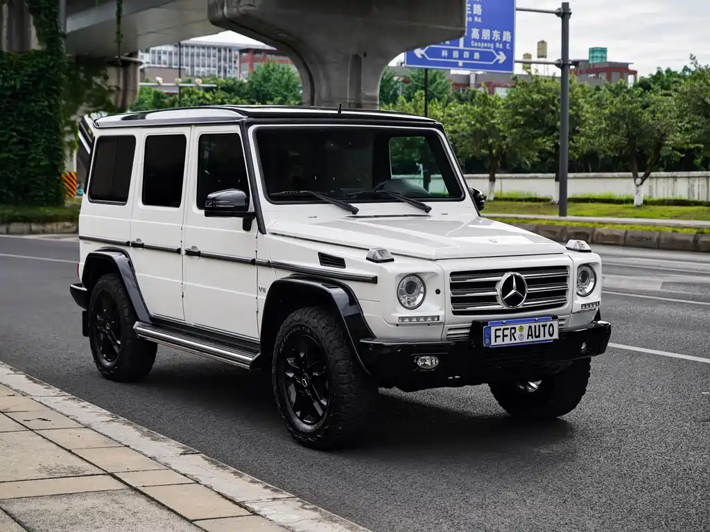 Mercedes-Benz G-Class 2016 — фото 16