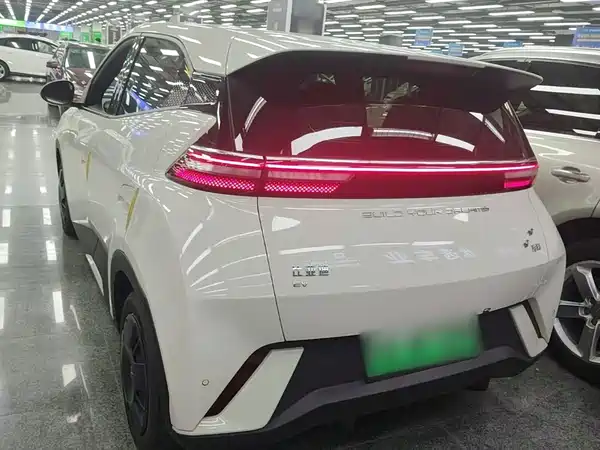 BYD Seagull 2024