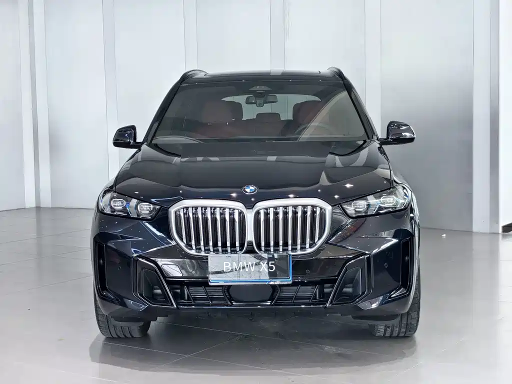 BMW X5 2025 — фото 2