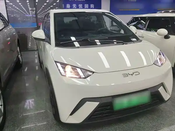BYD Seagull 2024