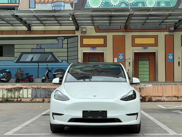 Tesla Model Y 2021