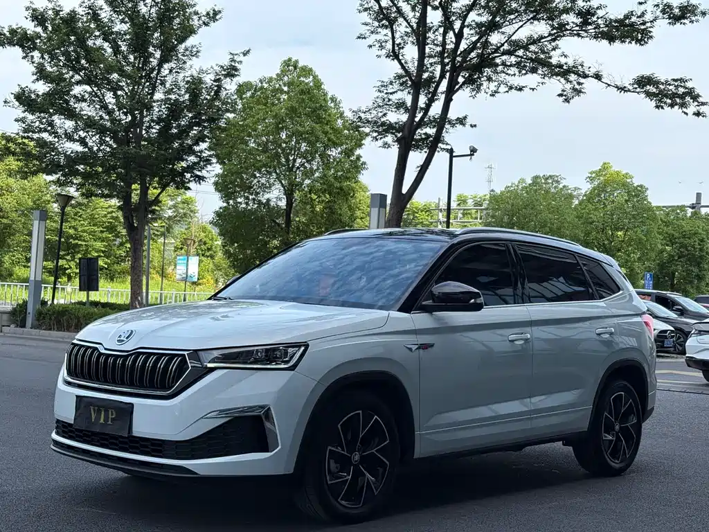Skoda Kamiq 2024 — фото 3