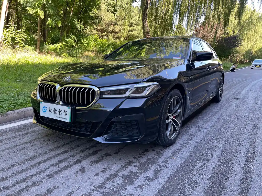 BMW 5 Series New Energy 2021