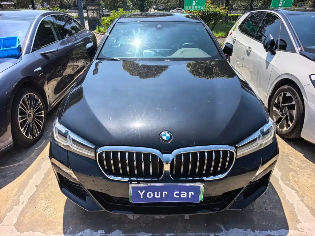 BMW 5 Series New Energy 2021