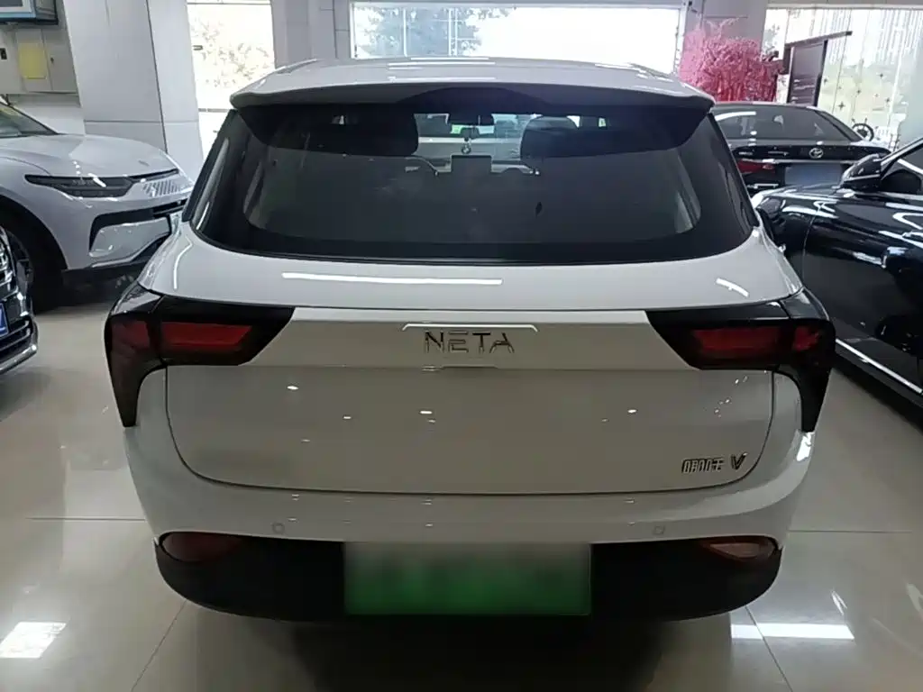 Neta V 2021