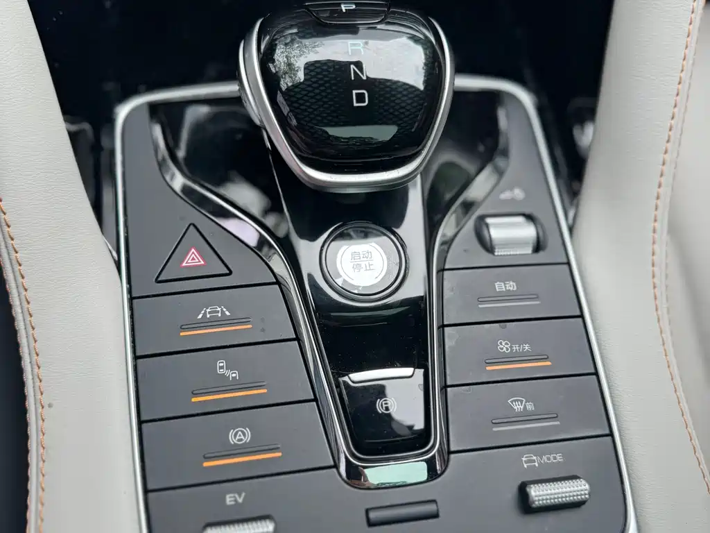 BYD PLUS New Energy 2022 — фото 18