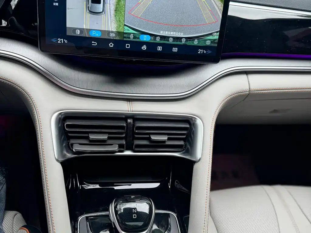 BYD PLUS New Energy 2022 — фото 12