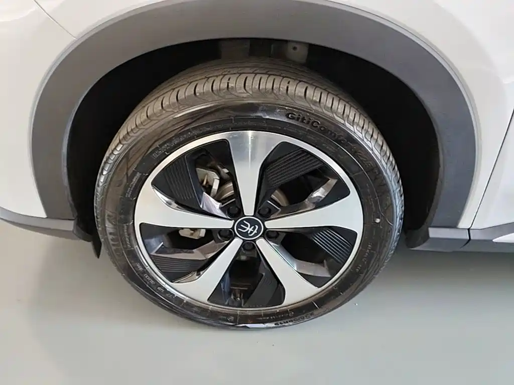 BYD PLUS New Energy 2023 — фото 23